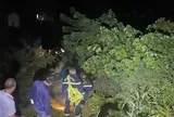 Đi hái na, người đàn ông 59 tuổi tử vong do đá rơi trúng đầu