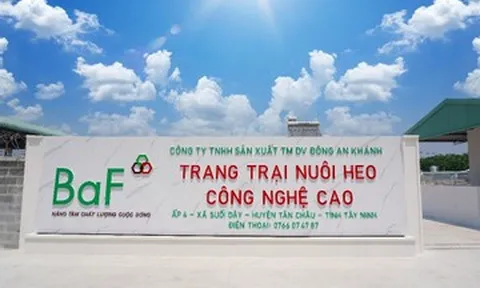 Mua lại 99,99% cổ phần nhưng không thông báo, BAF Việt Nam bị xử phạt