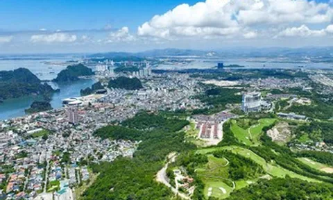 Noble Palace Ha Long đón sóng dịch chuyển về tâm điểm mới Vịnh Cửa Lục