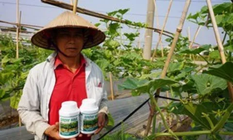 GROW MAX NPK 8000 – Giải Pháp Tối Ưu Quang Hợp, Đẩy Nhanh Tiến Độ Kiến Thiết Tán Cây