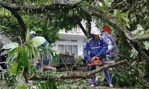 Quảng Ninh thiệt hại khoảng 20 tỷ đồng do bão số 1