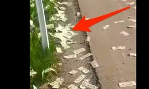 Phát hiện gần 16 tỷ đồng tiền mặt rơi vương vãi trên đường cao tốc
