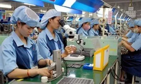 Quy định mới xử phạt vi phạm hành chính trong lĩnh vực lao động, bảo hiểm xã hội