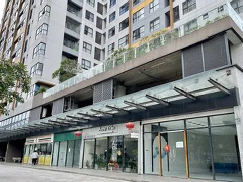 Mua shophouse tại TPHCM để cho thuê, chủ nhà ráo riết tìm khách