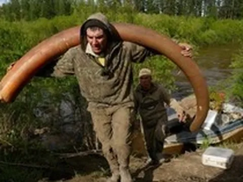Bí ẩn rùng rợn đằng sau cơn sốt săn lùng xác voi ma mút Siberia