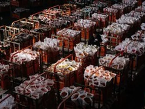 Bên trong chợ hoa lớn nhất châu Á, nơi hàng tỷ cành hoa được vận chuyển khắp thế giới