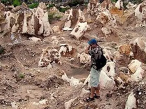 Nauru - quốc gia từng giàu bậc nhất thế giới nhờ phân chim giờ thành bãi rác