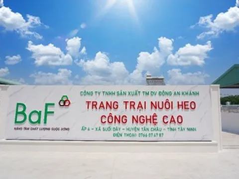 Mua lại 99,99% cổ phần nhưng không thông báo, BAF Việt Nam bị xử phạt