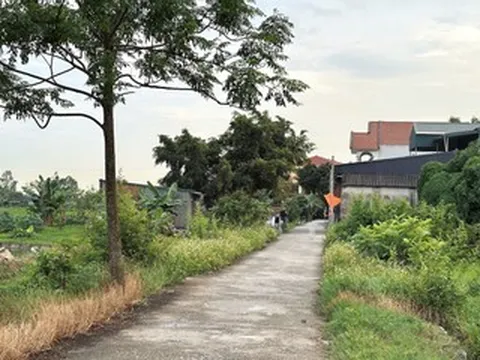 Lý do đất nông nghiệp có sổ đỏ, trong quy hoạch đất ở vẫn bị từ chối lên thổ cư