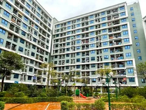 Từ 1/7, người dưới 35 tuổi vay mua nhà ở xã hội hưởng lãi suất 6,5%/năm