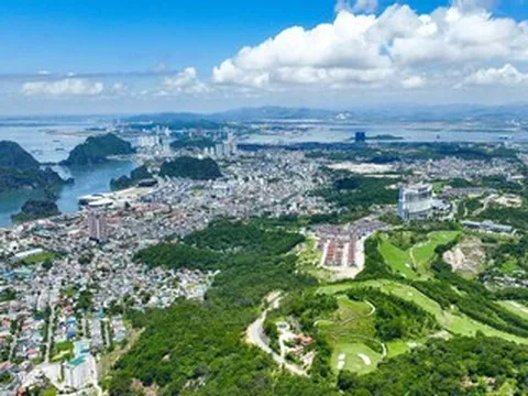 Noble Palace Ha Long đón sóng dịch chuyển về tâm điểm mới Vịnh Cửa Lục