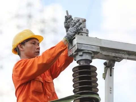 Lương trung bình 3.593 nhân viên công ty mẹ EVN là gần 480 triệu/năm