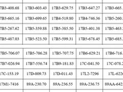 287 chủ phương tiện vi phạm mang biển số sau nhanh chóng nộp phạt nguội theo Nghị định 168 trong danh sách mới nhất của tháng 7