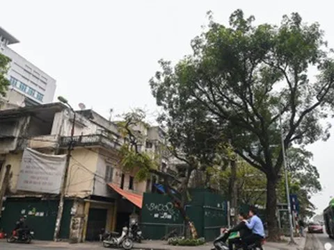Phường Ngọc Hà sắp thu hồi 5ha đất; quy định mới về hợp thửa đất ở, đất vườn, ao