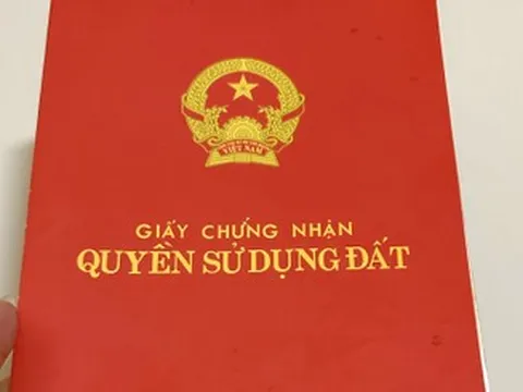 Vi phạm đất đai trước 1/8/2024 có thể được cấp sổ đỏ, sau mốc này xử lý nghiêm
