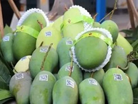 Bộ Công Thương sẽ thúc đẩy đối thoại với Hoa Kỳ sau kết luận thuế Mục 301