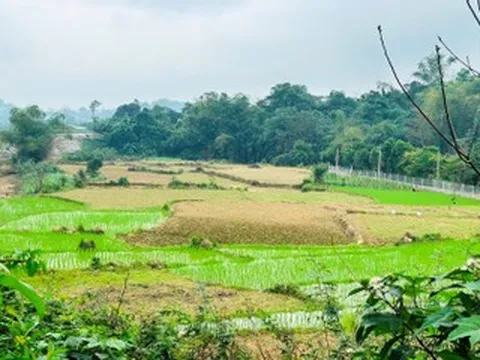 Thừa kế đất của người có công, con có được giảm tiền sử dụng đất?